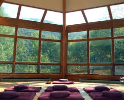 stillness in the forest