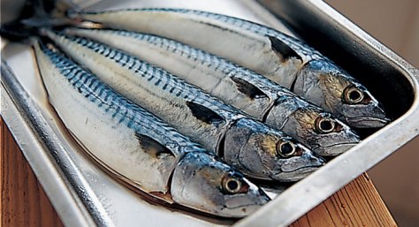 Mackerel in platter