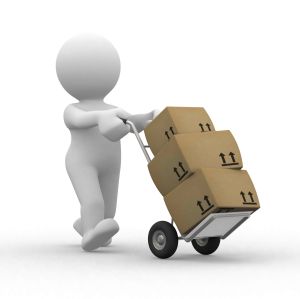 shipping