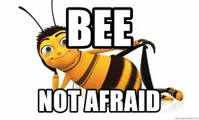 Bee Not Afraid